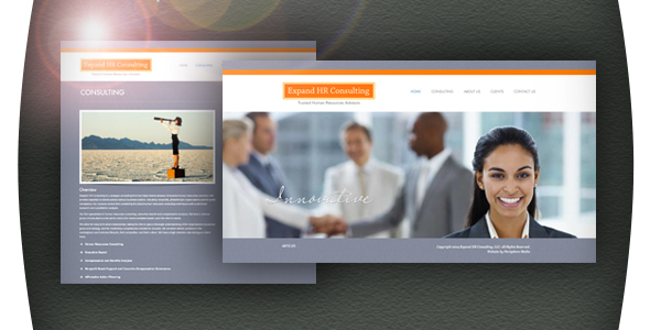Expand HR Consulting Website